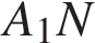 A_1N