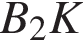  B_2K