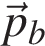 \vecp_b