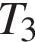 T_3