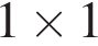 1\times 1