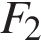 F_2