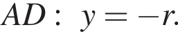 AD:y= минус r.